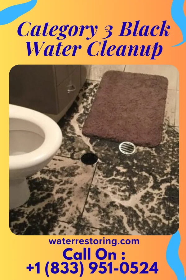 Category 3 Black Water Cleanup in Dupo, IL