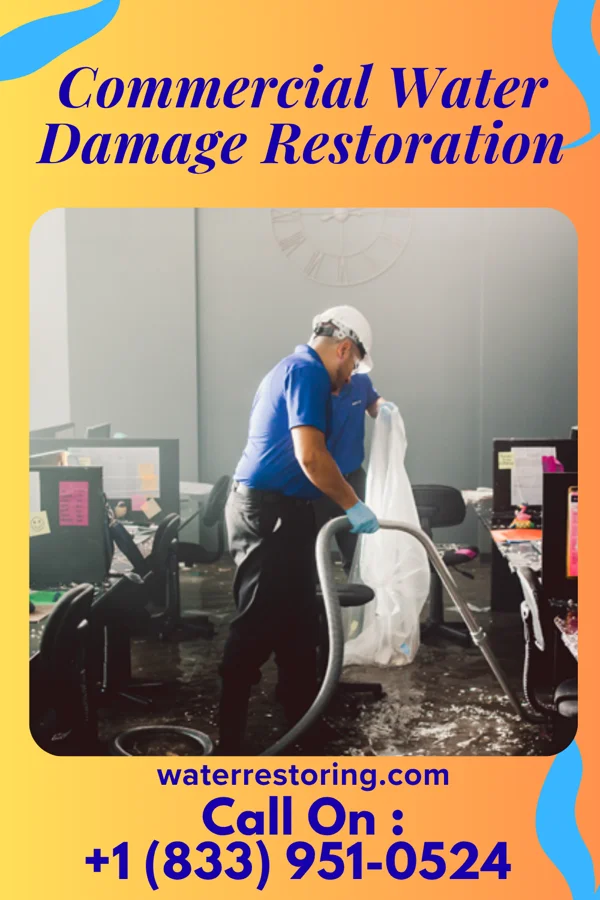 Commercial Water Damage Restoration in Dupo, IL