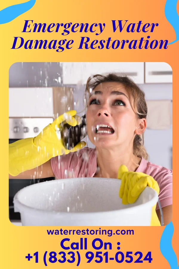 Emergency Water Damage Restoration in Dupo, IL