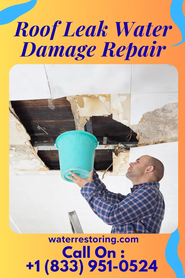 Roof Leak Water Damage Repair in Dupo, IL
